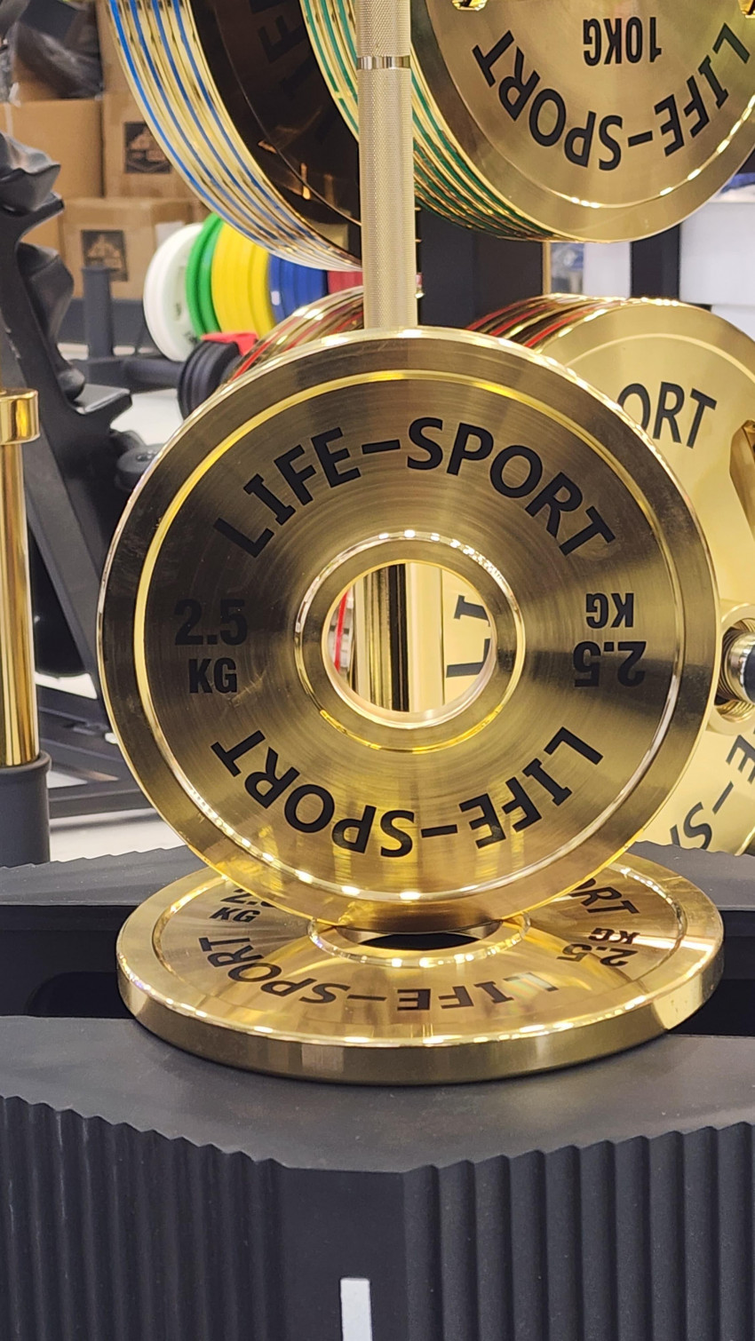 Life Sport Pro Bronze Coating Change Plate 2.5 kg